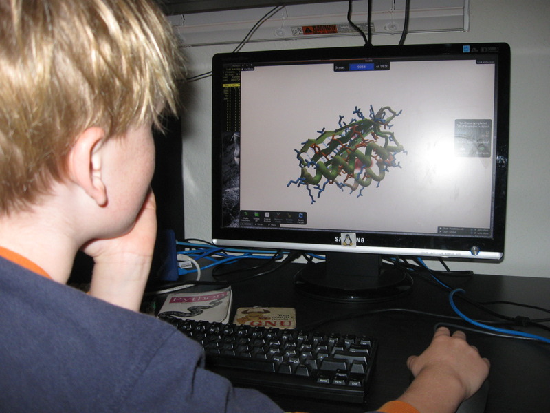 Ребёнок играет в Foldit