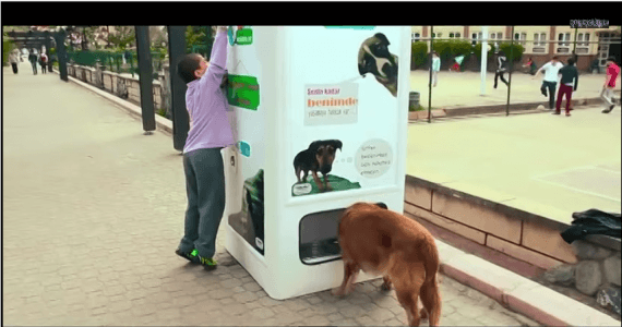 Vending Machine that Recycles Bottles and Feeds Stray Dogs in Exchange  [VIDEO] - IBTimes India