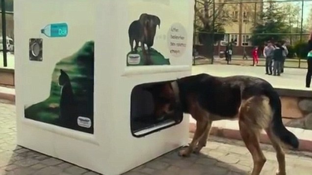 Vending Machine that gives out dog food to strays for plastic | Daily Mail  Online