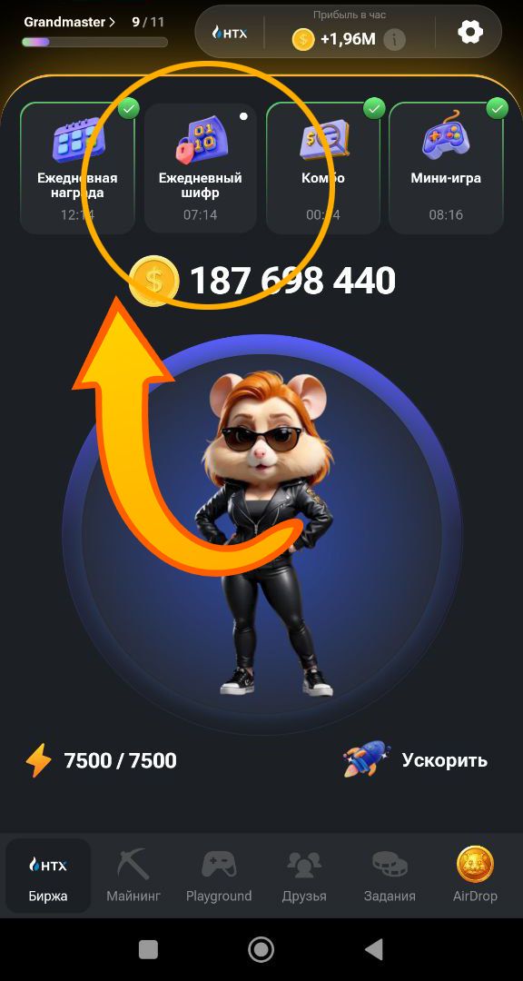 Шифр в Хомяке 7 августа (Hamster Kombat)